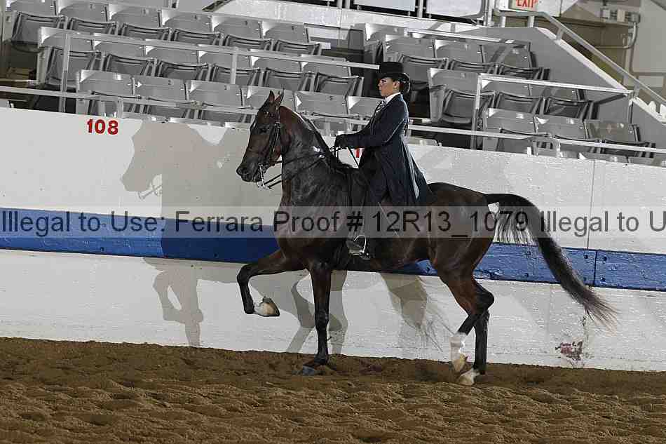 Proof Number 12r13_1079