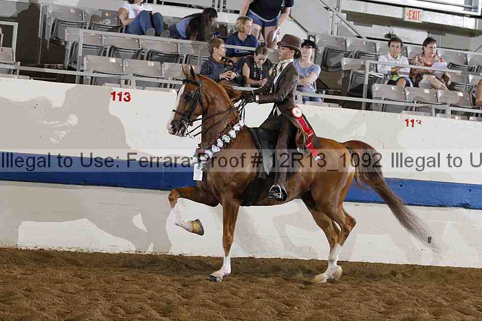 Proof Number 12r13_1092