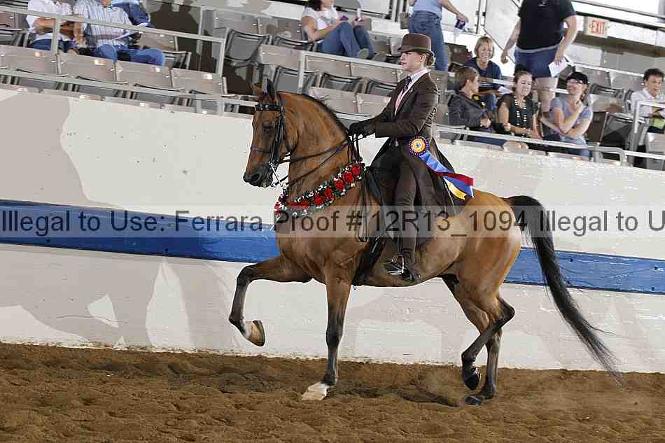 Proof Number 12r13_1094