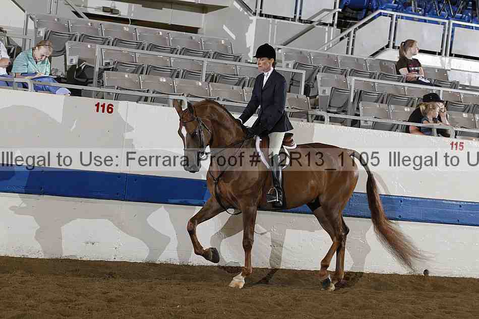 Proof Number 12r13_1105