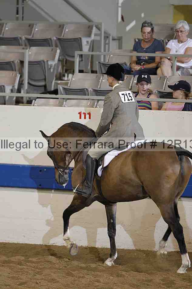 Proof Number 12r13_1109