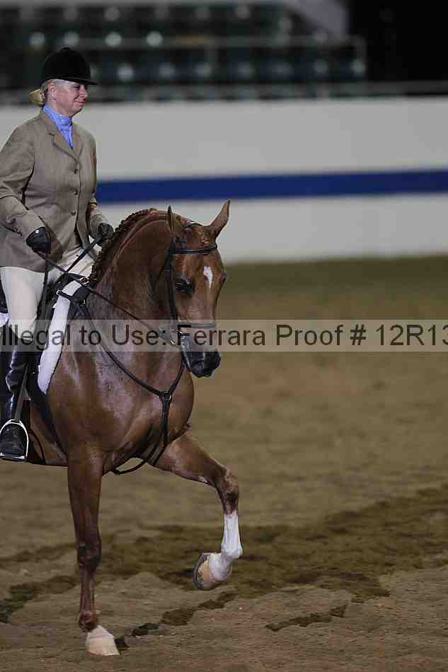 Proof Number 12r13_1160