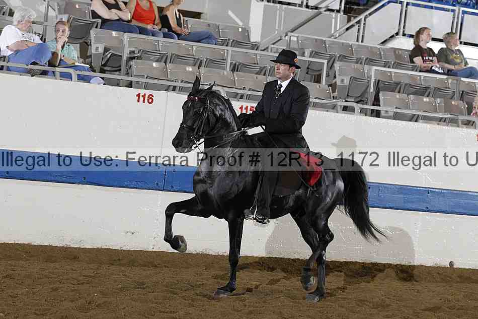 Proof Number 12r13_1172