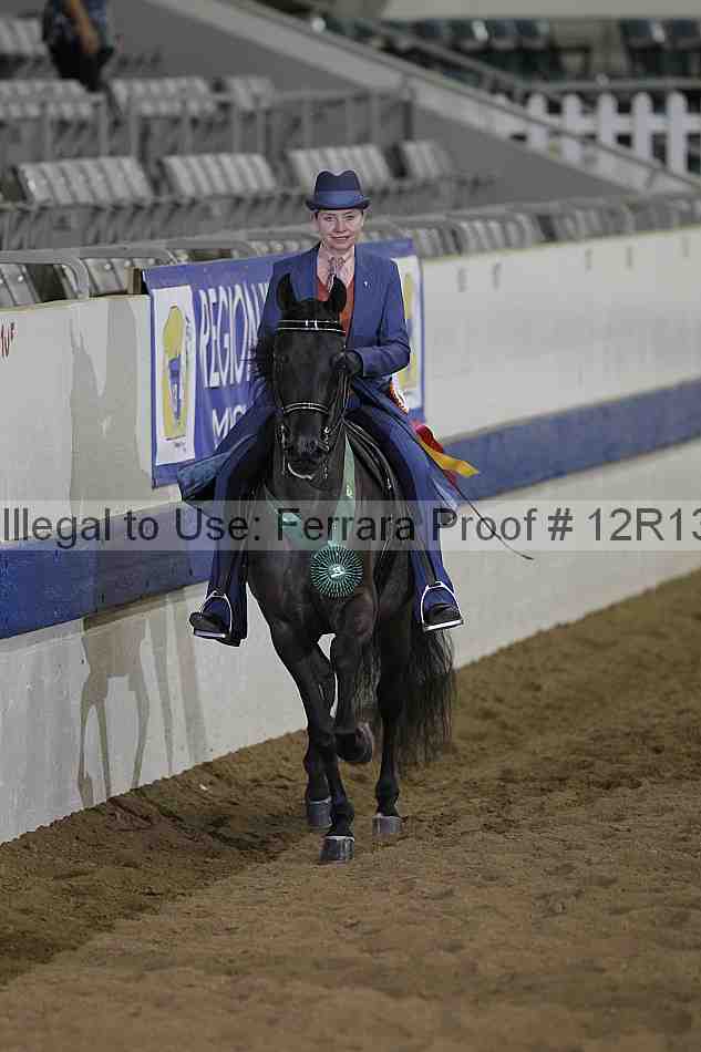 Proof Number 12r13_1196