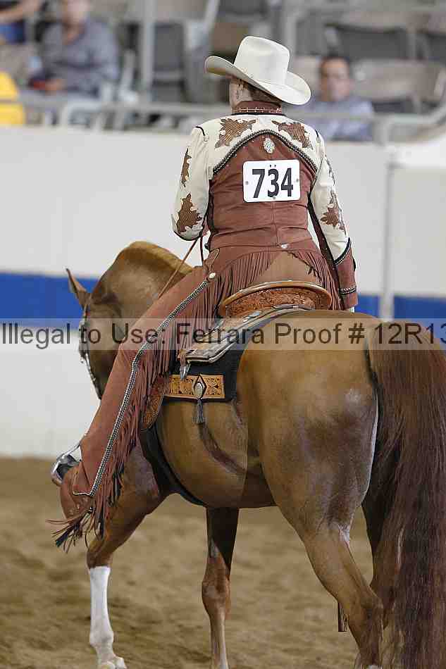 Proof Number 12r13_1232