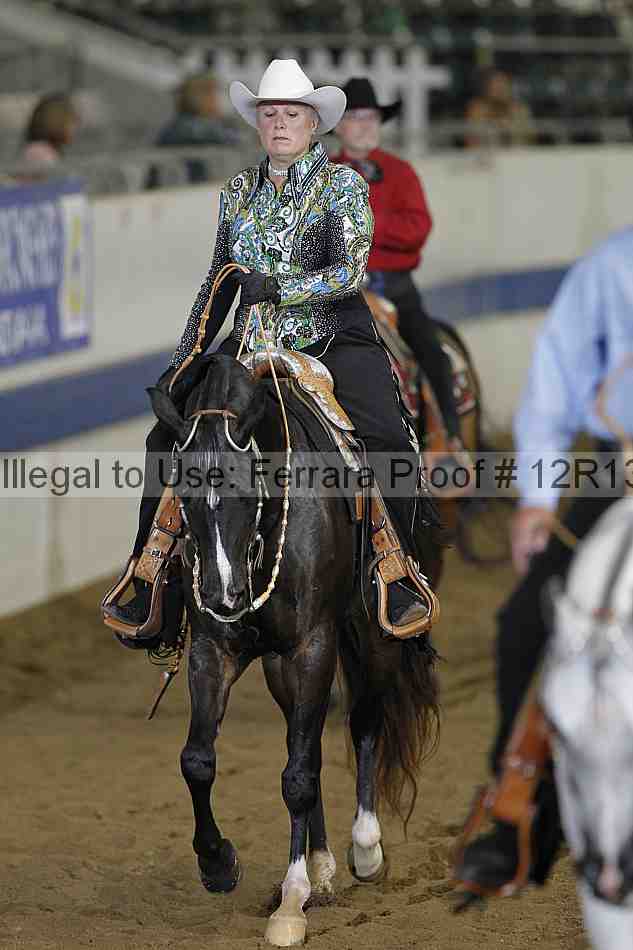 Proof Number 12r13_1273