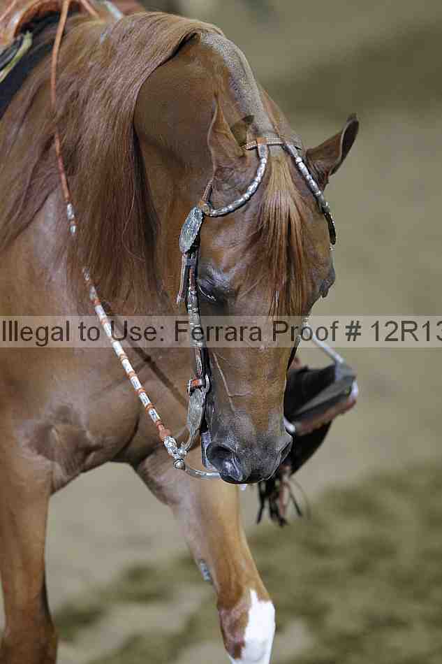 Proof Number 12r13_1290