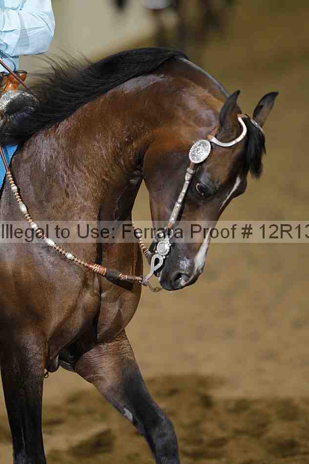 Proof Number 12r13_1307