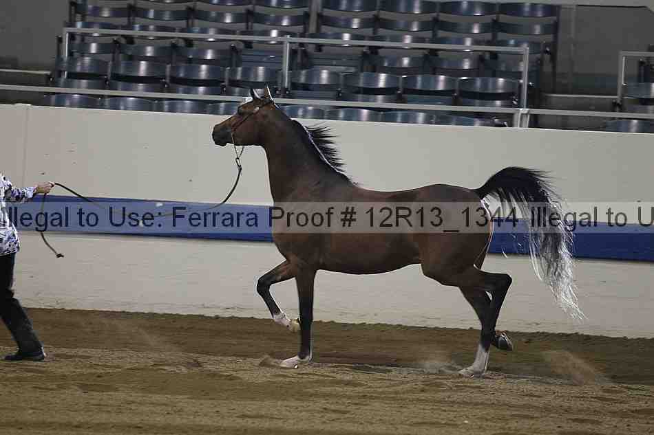 Proof Number 12r13_1344
