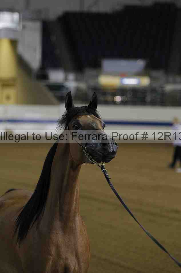 Proof Number 12r13_1345