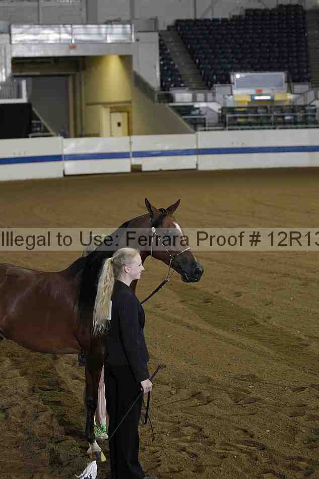 Proof Number 12r13_1355