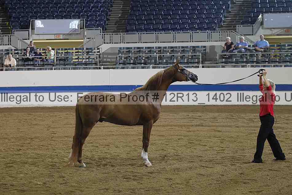 Proof Number 12r13_1402