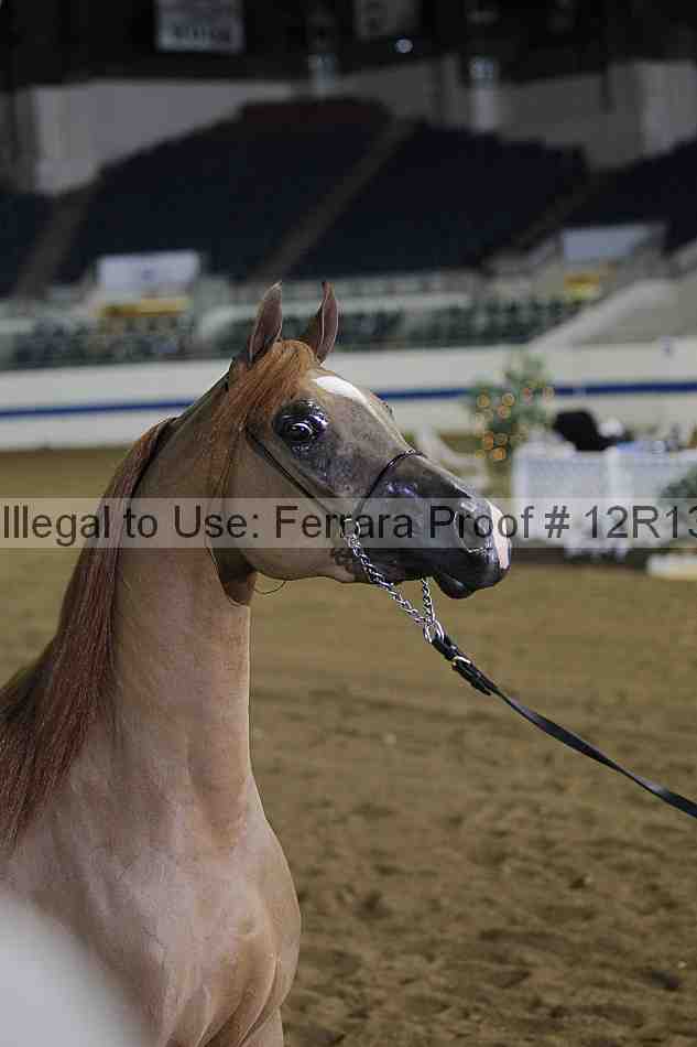 Proof Number 12r13_1409