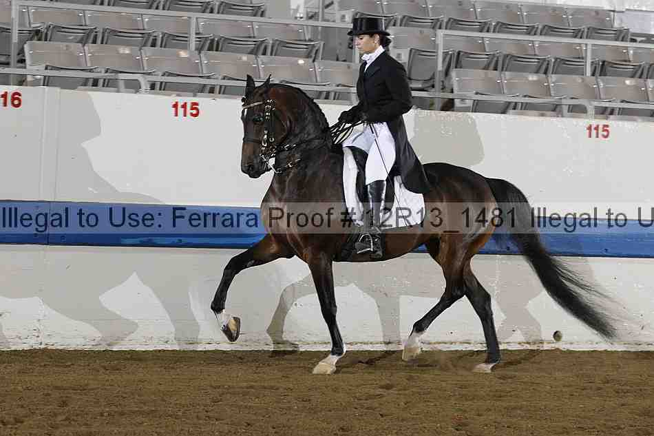 Proof Number 12r13_1481