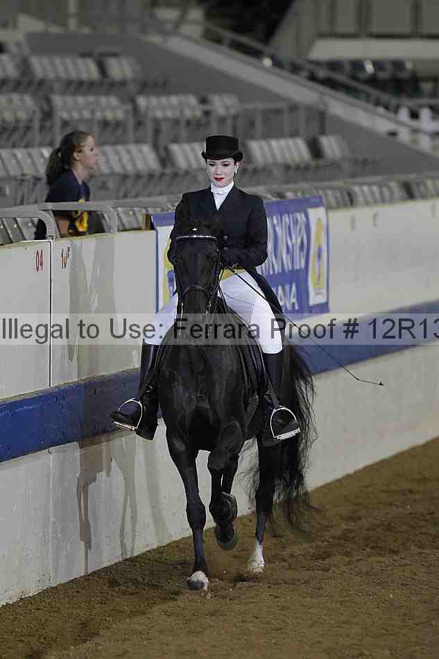 Proof Number 12r13_1500