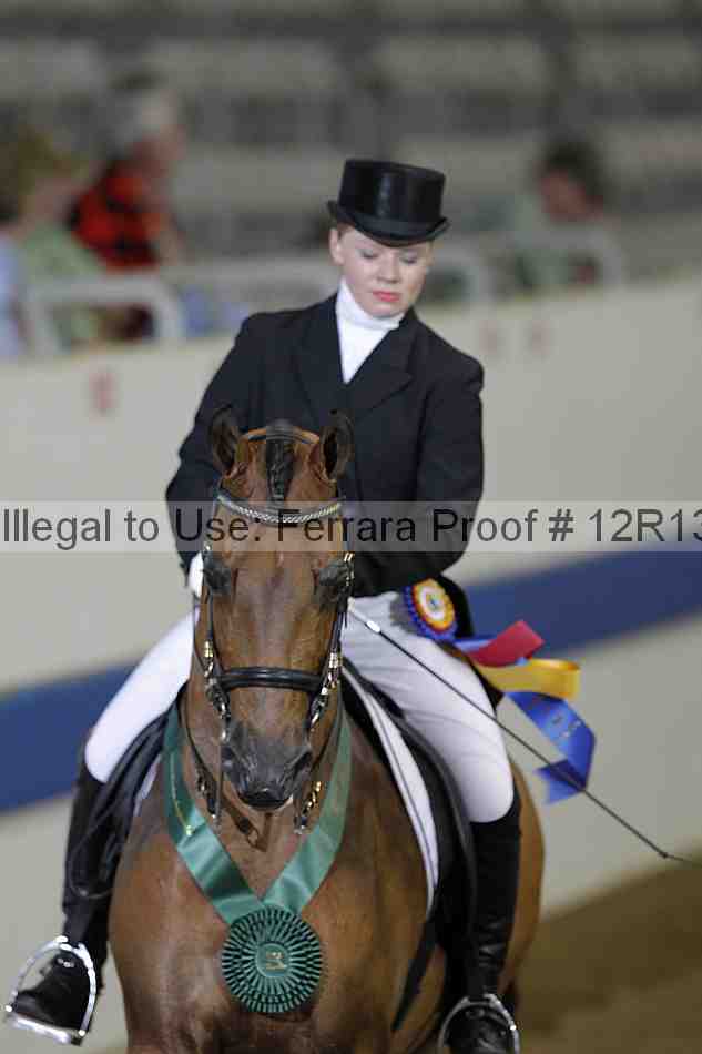 Proof Number 12r13_1517