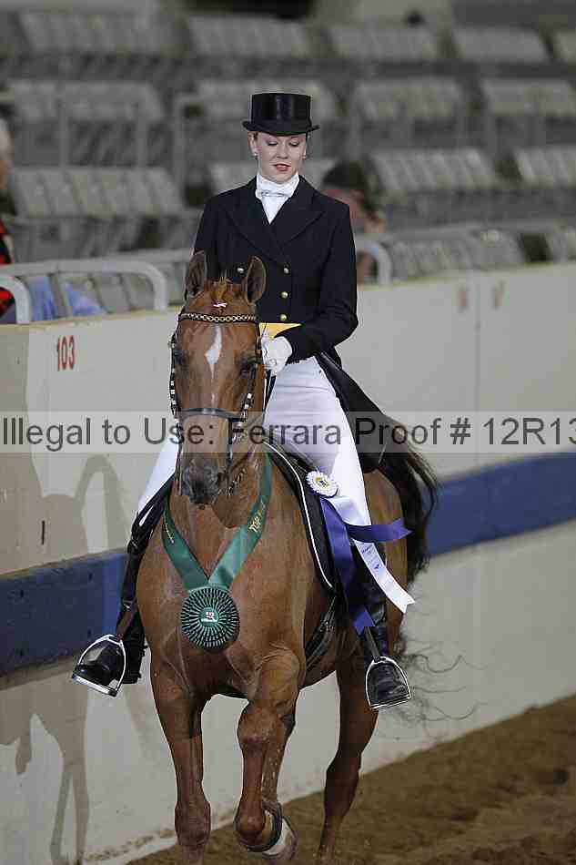 Proof Number 12r13_1521