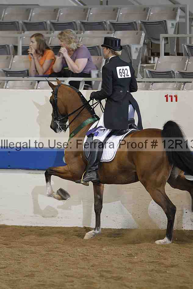 Proof Number 12r13_1527