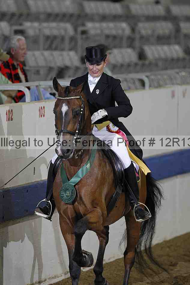 Proof Number 12r13_1531
