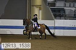 12r13_1538 thumbnail