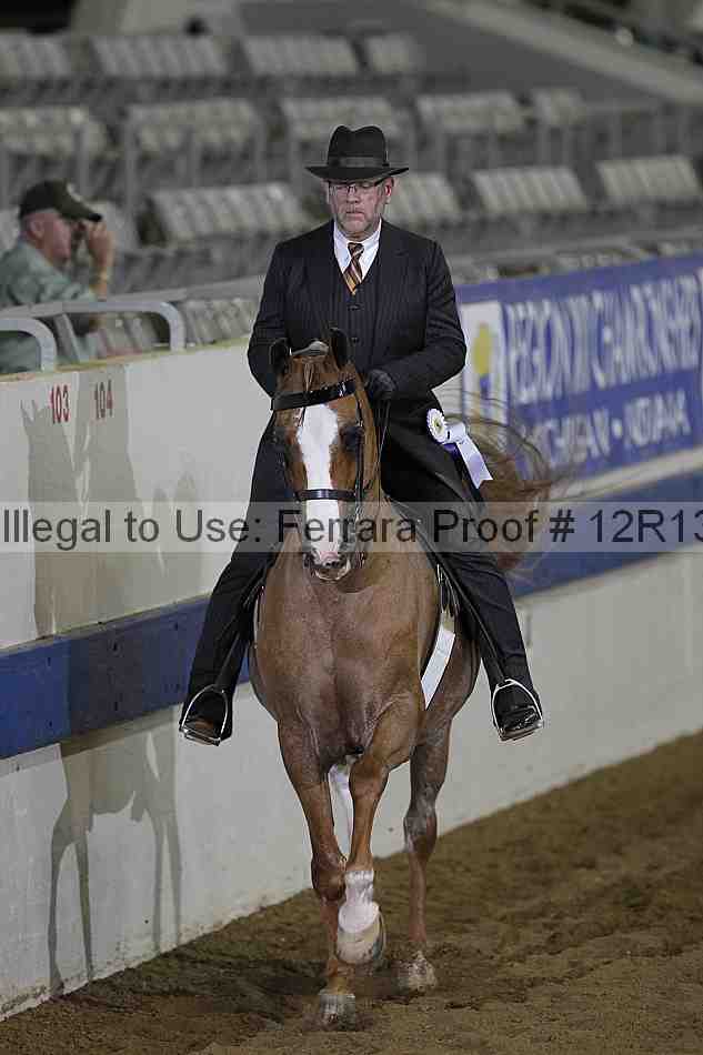 Proof Number 12r13_1589