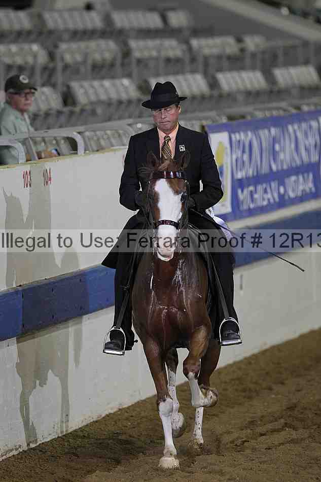 Proof Number 12r13_1593