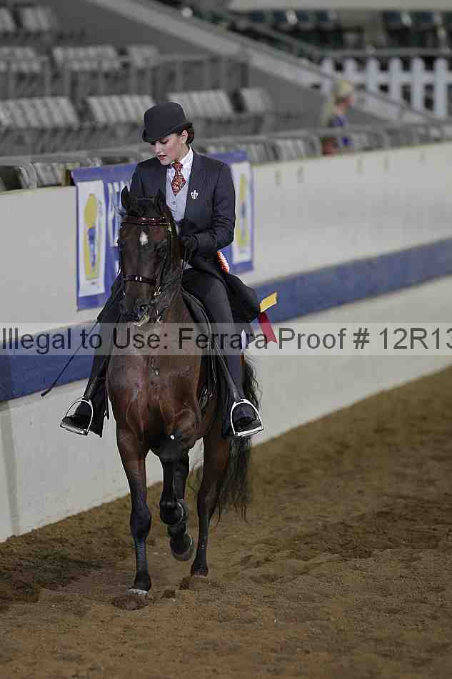 Proof Number 12r13_1596