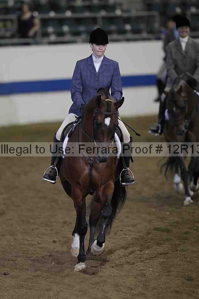 Proof Number 12r13_1658