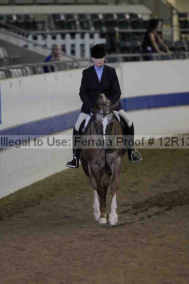 Proof Number 12r13_1661