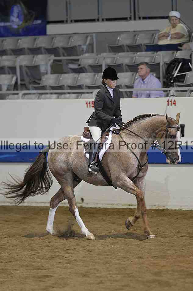 Proof Number 12r13_1674