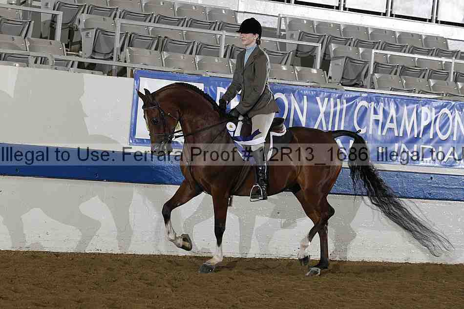 Proof Number 12r13_1686