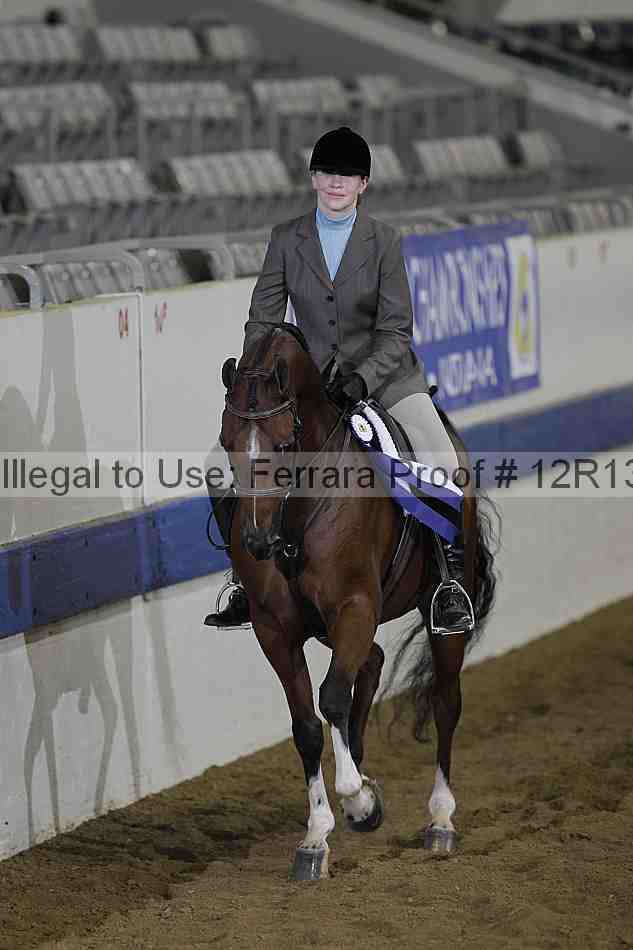 Proof Number 12r13_1691
