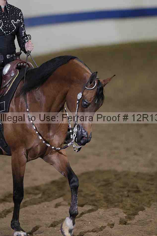 Proof Number 12r13_1755