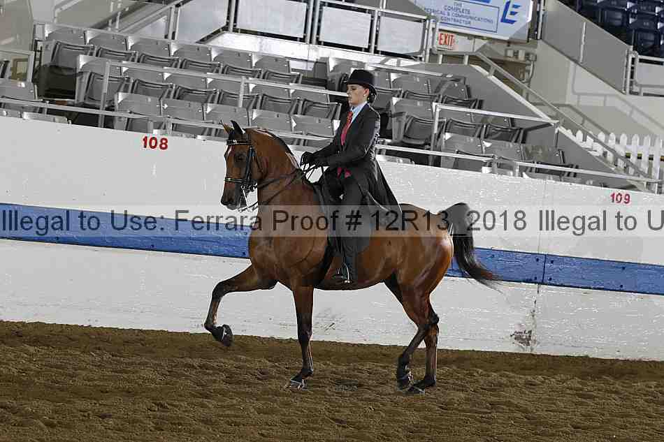 Proof Number 12r13_2018