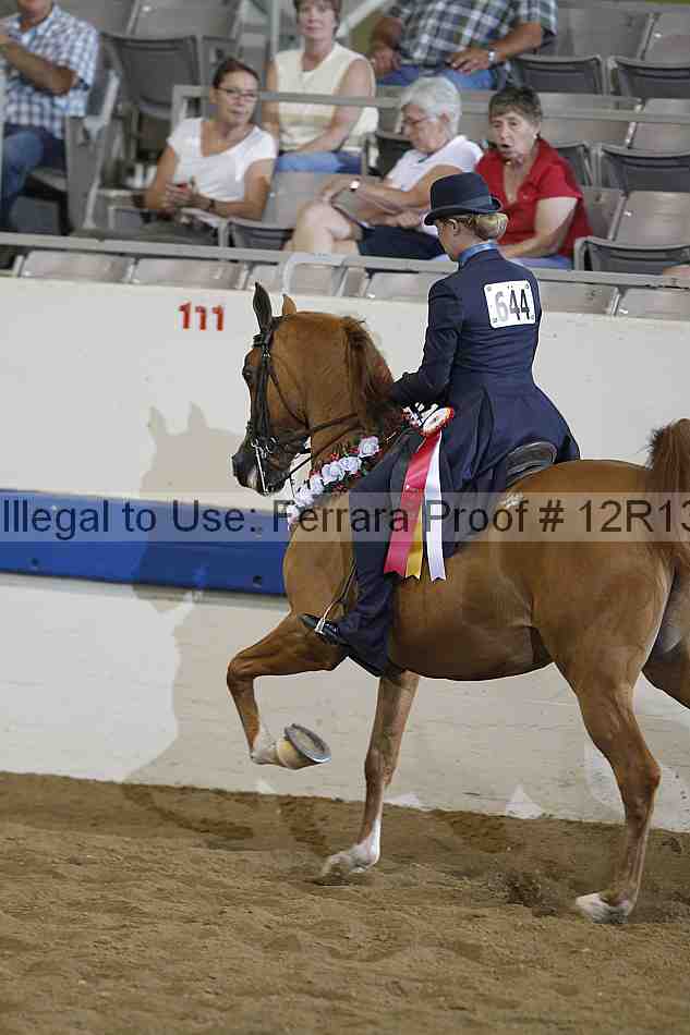 Proof Number 12r13_2054