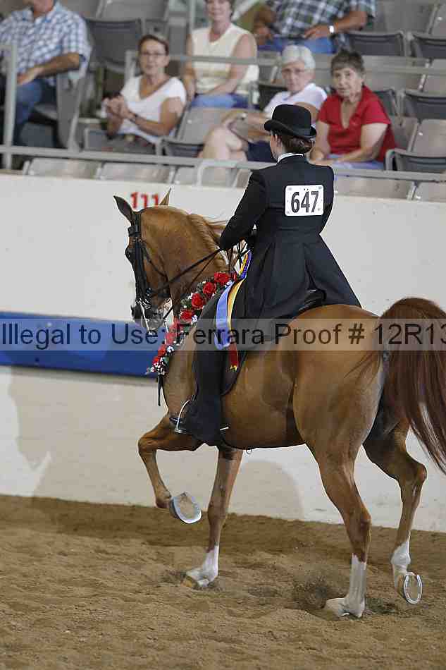 Proof Number 12r13_2055