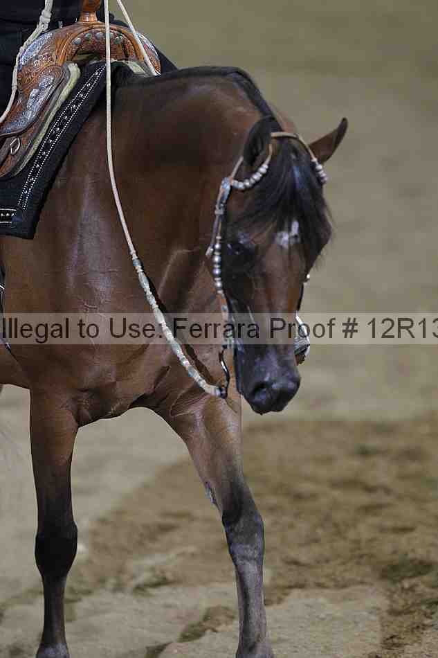 Proof Number 12r13_2098