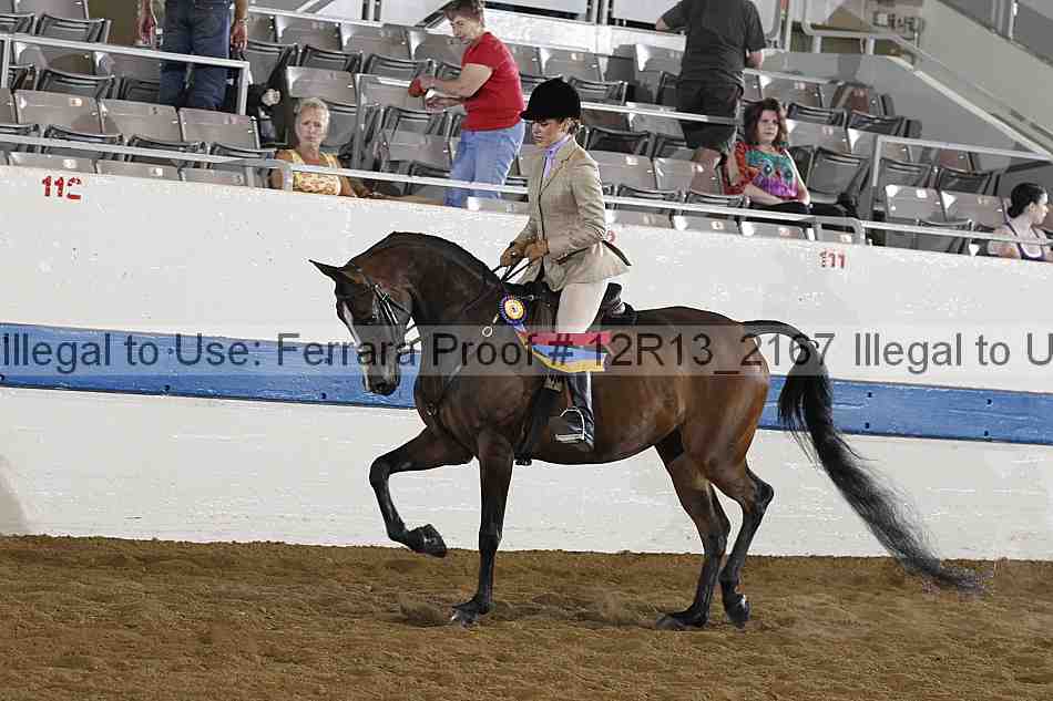 Proof Number 12r13_2167