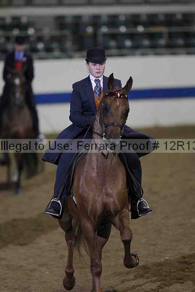 Proof Number 12r13_2208