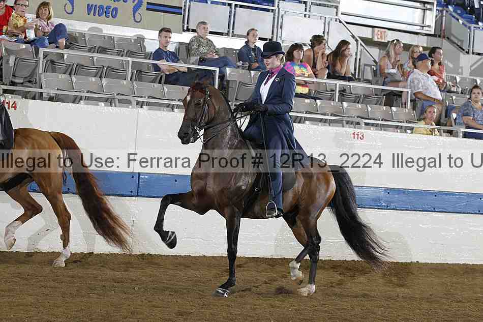 Proof Number 12r13_2224