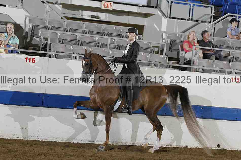 Proof Number 12r13_2225