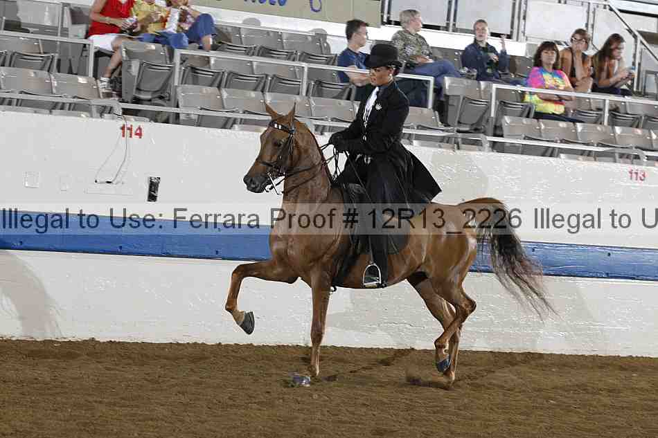 Proof Number 12r13_2226