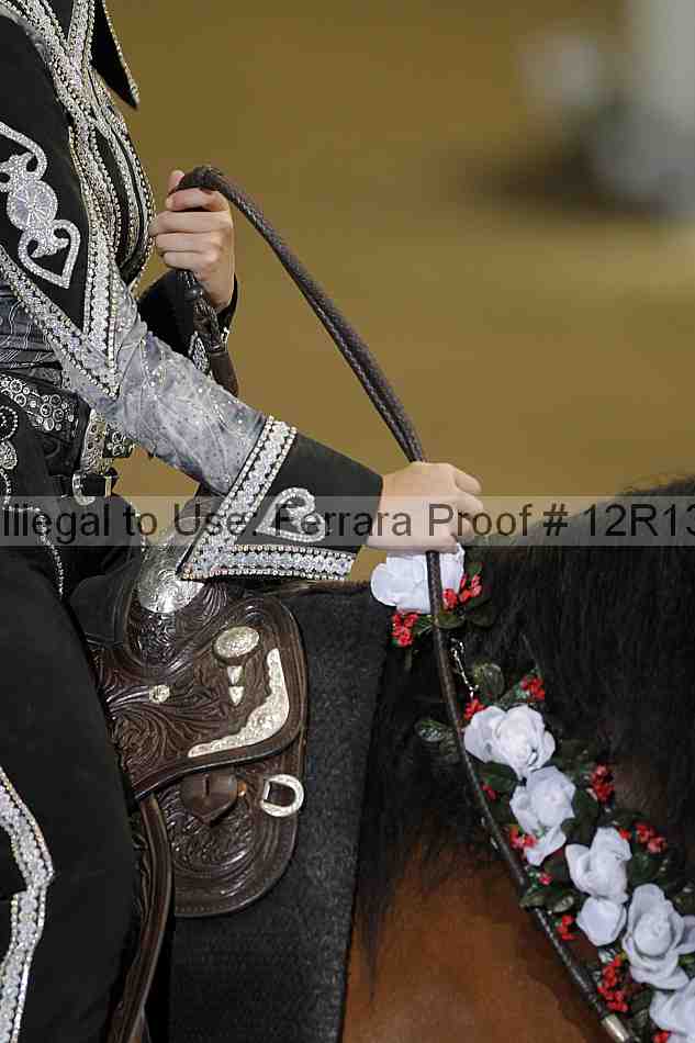 Proof Number 12r13_2303