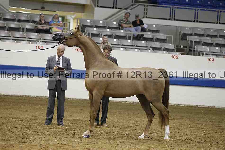 Proof Number 12r13_2361