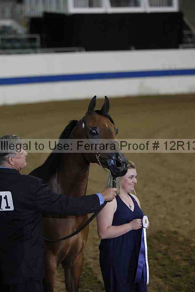Proof Number 12r13_2376