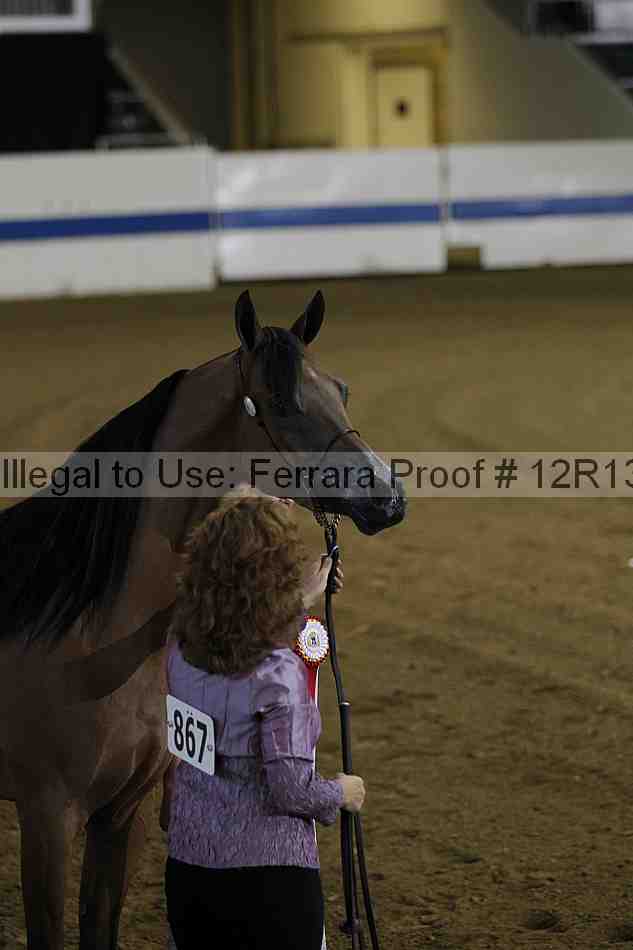 Proof Number 12r13_2381