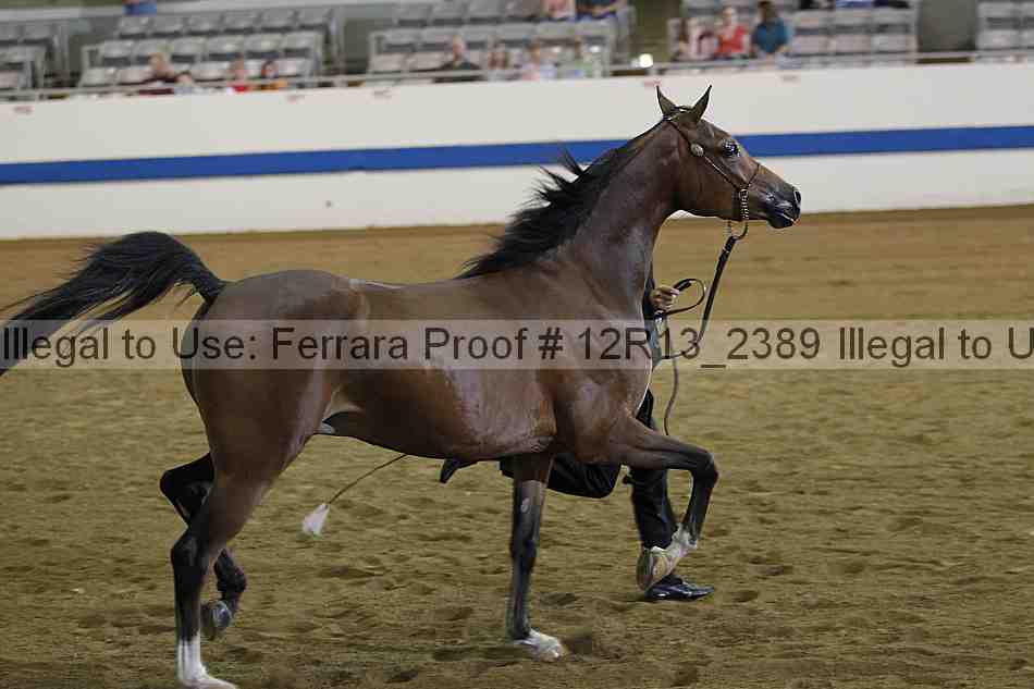 Proof Number 12r13_2389