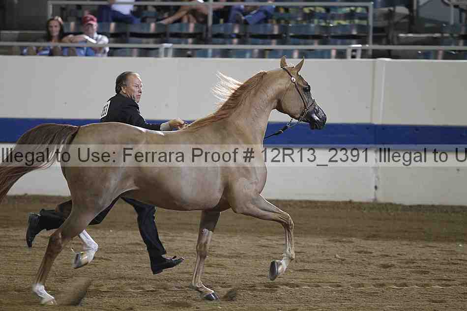 Proof Number 12r13_2391