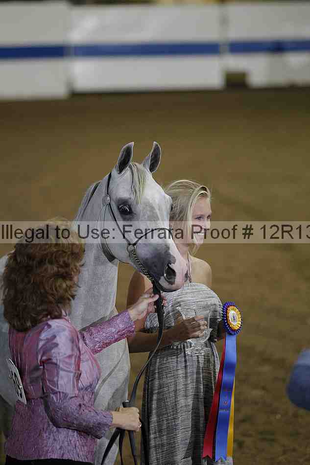 Proof Number 12r13_2433
