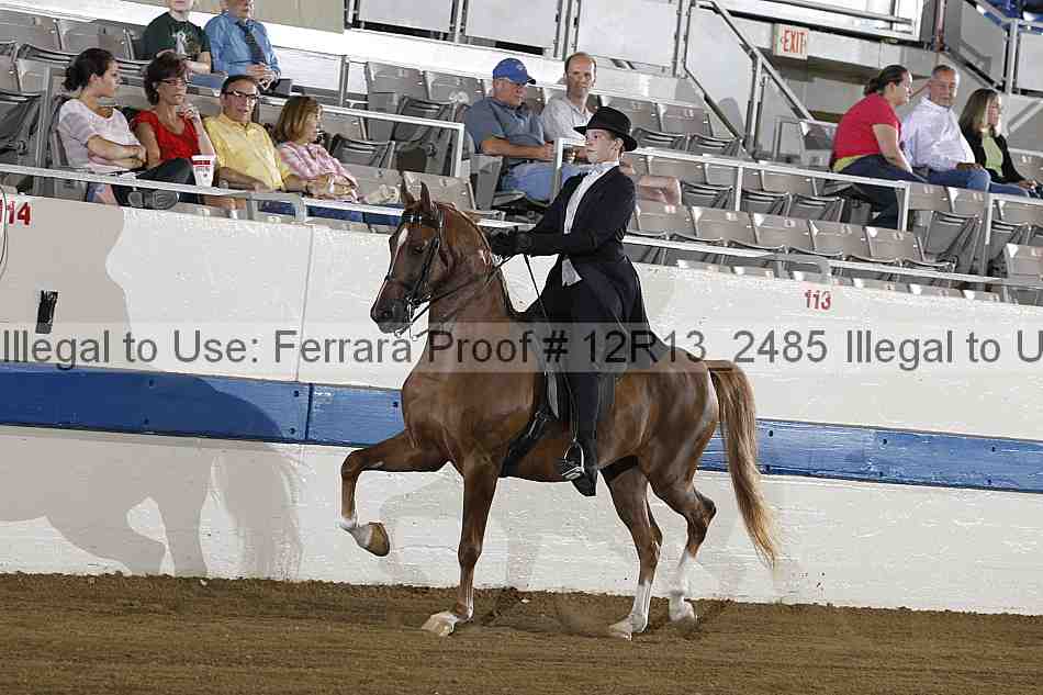 Proof Number 12r13_2485